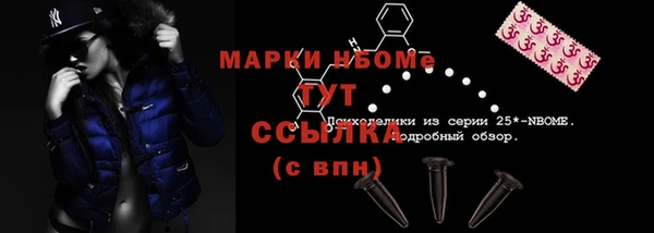 сатива Алексеевка
